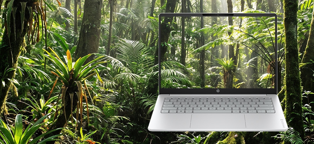 Natural, true-to-life color from the IPS panel