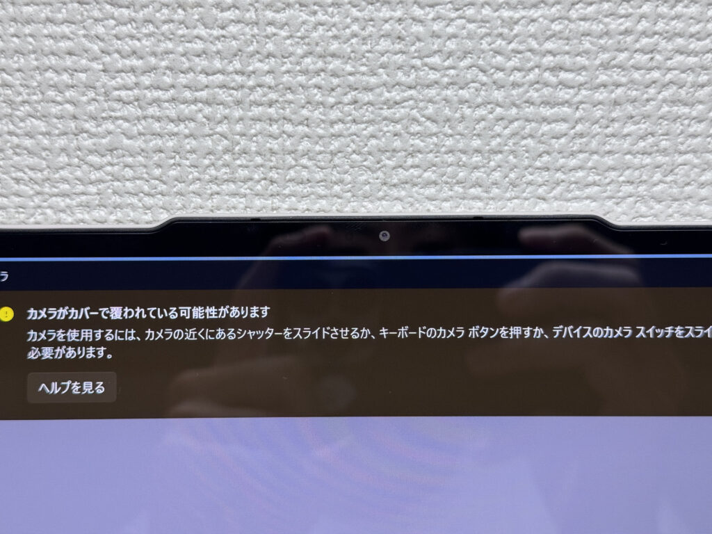 Privacy shutter