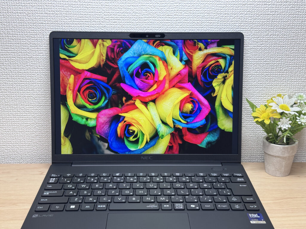 色鮮やかな写真を表示した画面