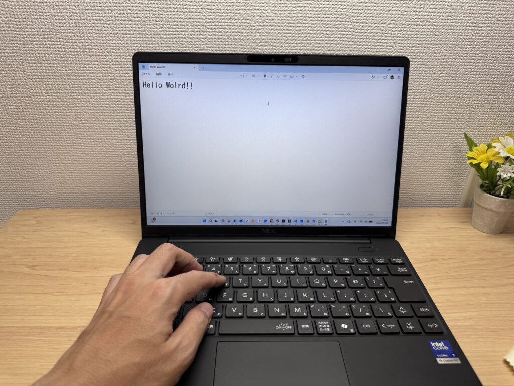 キーボードでタイピングしている様子