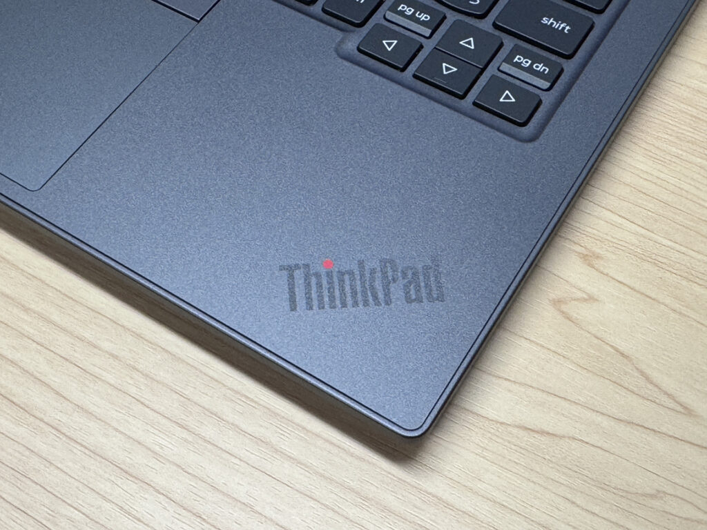 ThinkPad logo on the palm rest