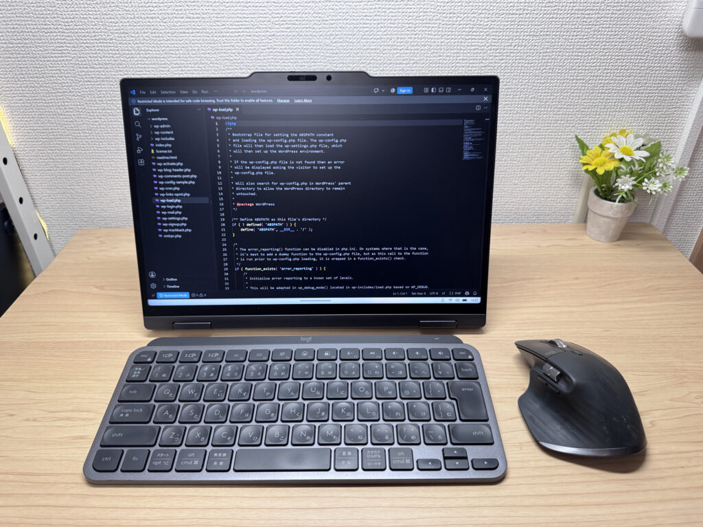 Display mode with an external keyboard and mouse