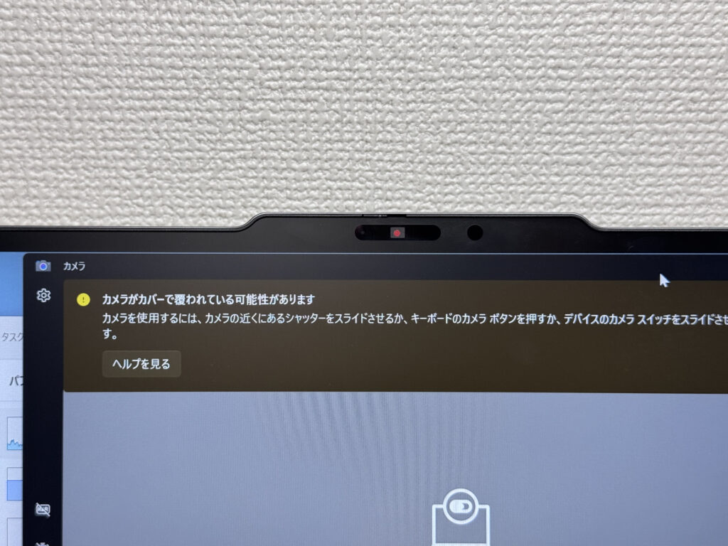 Privacy shutter